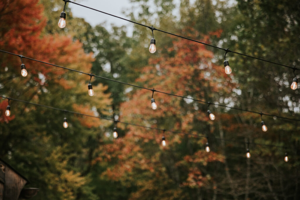 Halloween Wedding at Odin's Owl | Shauna Wear Photography