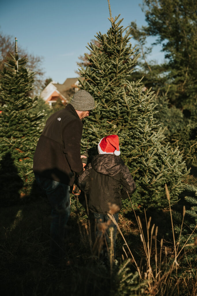 Candy Cane Christmas Tree Farm | Shauna Wear Photography