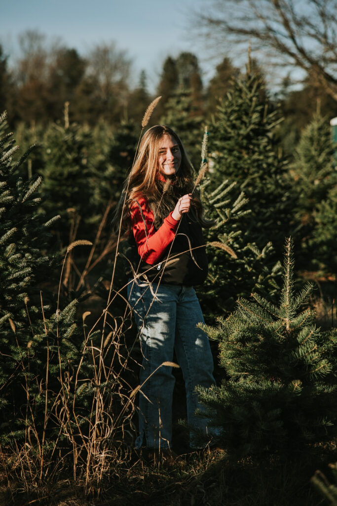 Candy Cane Christmas Tree Farm | Shauna Wear Photography