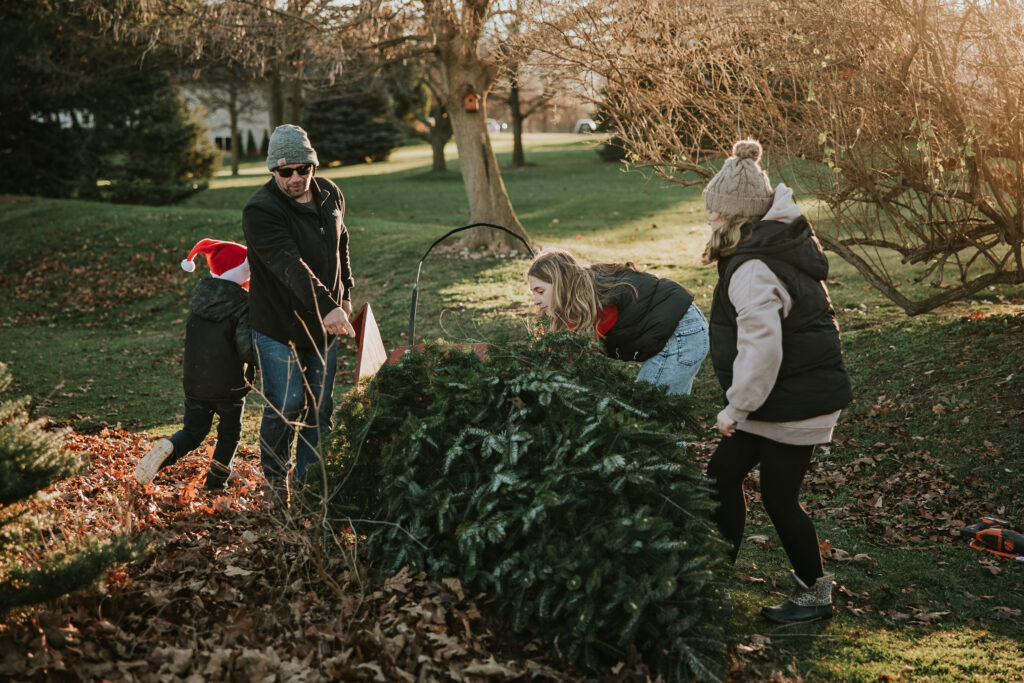 Candy Cane Christmas Tree Farm | Shauna Wear Photography